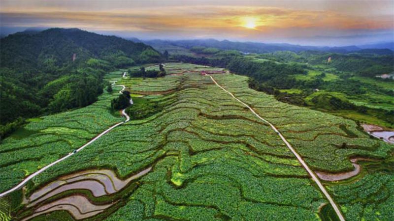 科技助力，農(nóng)旅結(jié)合 紅色老區(qū)建寧“綠色崛起”