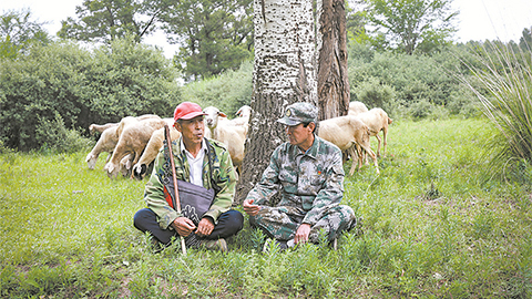 高清大圖｜塞北荒山，老兵播種“綠色夢(mèng)”