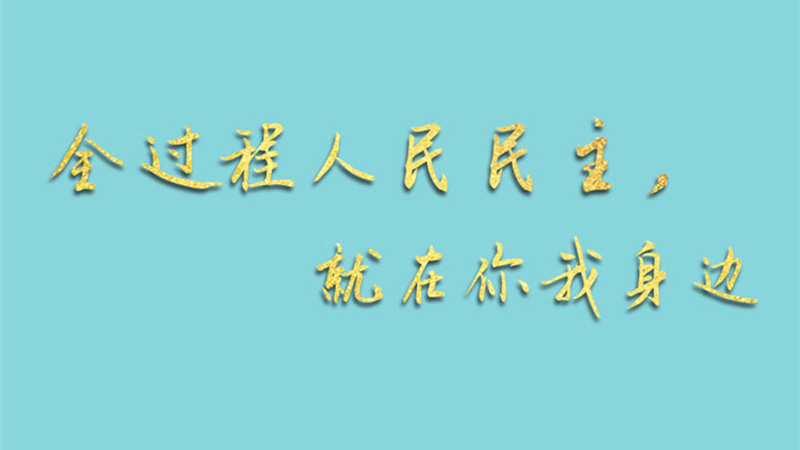 兩會(huì)手繪長卷：全過程人民民主，就在你我身邊