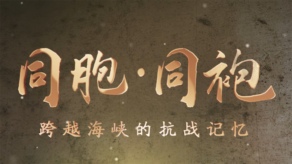 同胞·同袍：跨越海峽的抗戰(zhàn)記憶
