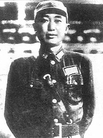 戴安瀾：永遠振翅的“海鷗”