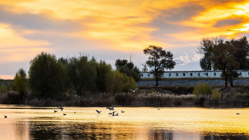 呼和浩特：郊野公園 秋色浸染